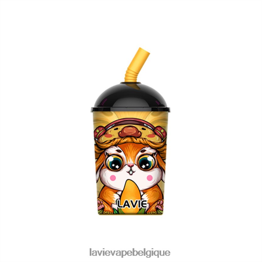 464068262 Lavie Vape Avis | glace à la mangue LAVIE Max Cup 8000 bouffées